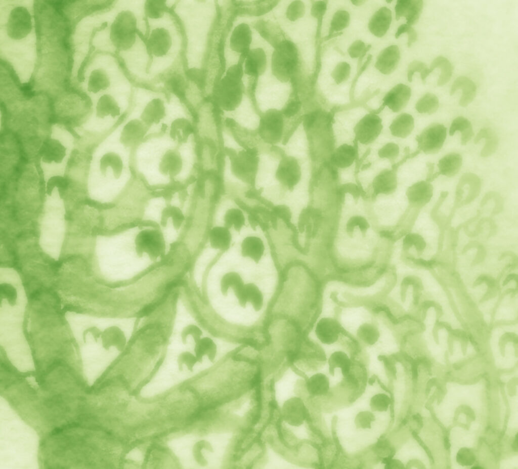 A propos Fond Arbre Flou 1024x927