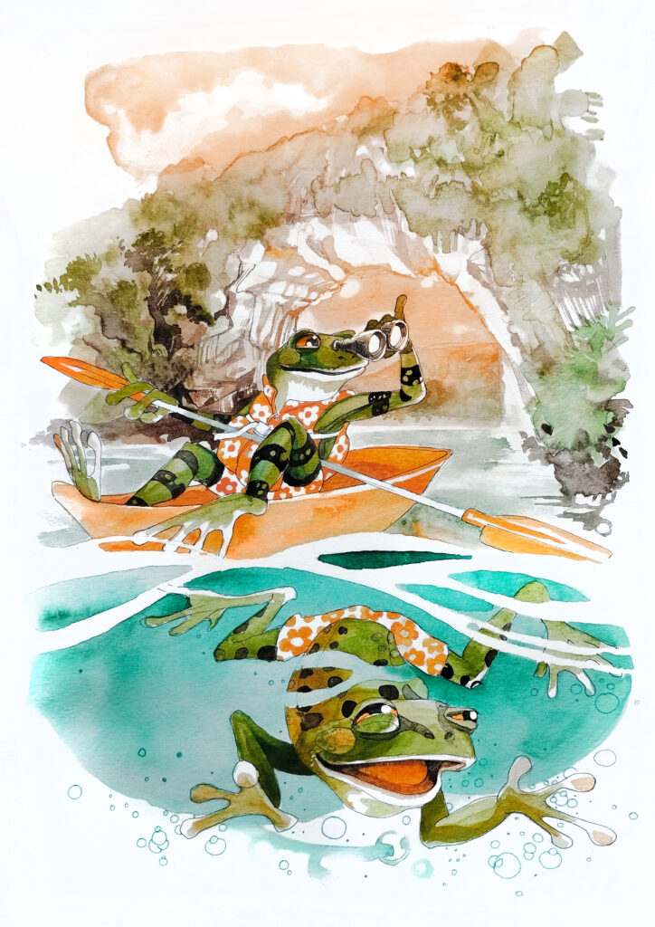 grenouille canoé